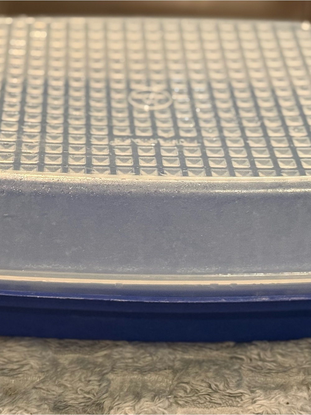 Vintage Tupperware marinating Tray